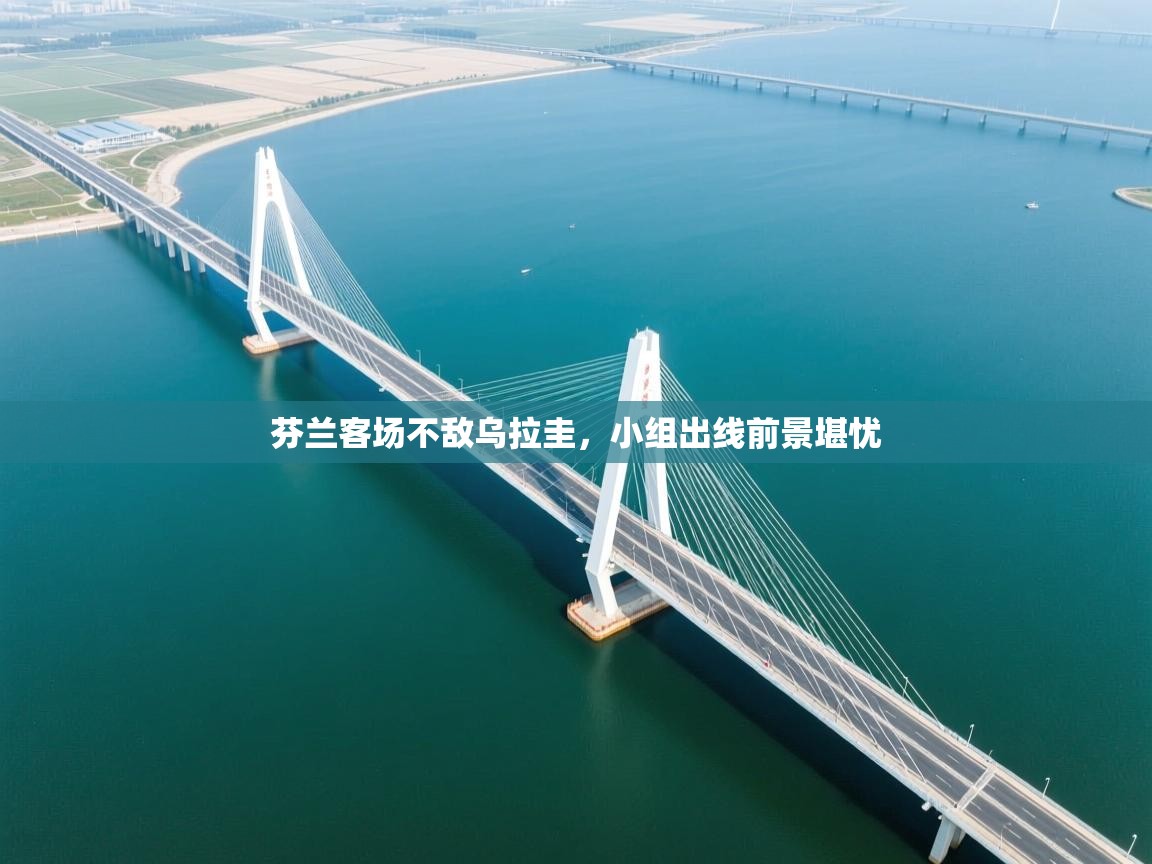 芬兰客场不敌乌拉圭，小组出线前景堪忧  第2张