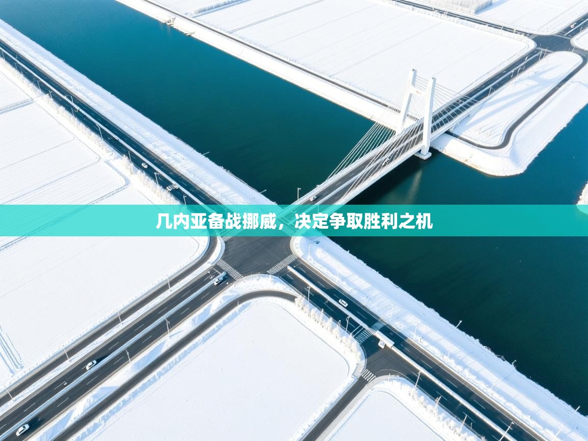 几内亚备战挪威，决定争取胜利之机  第1张