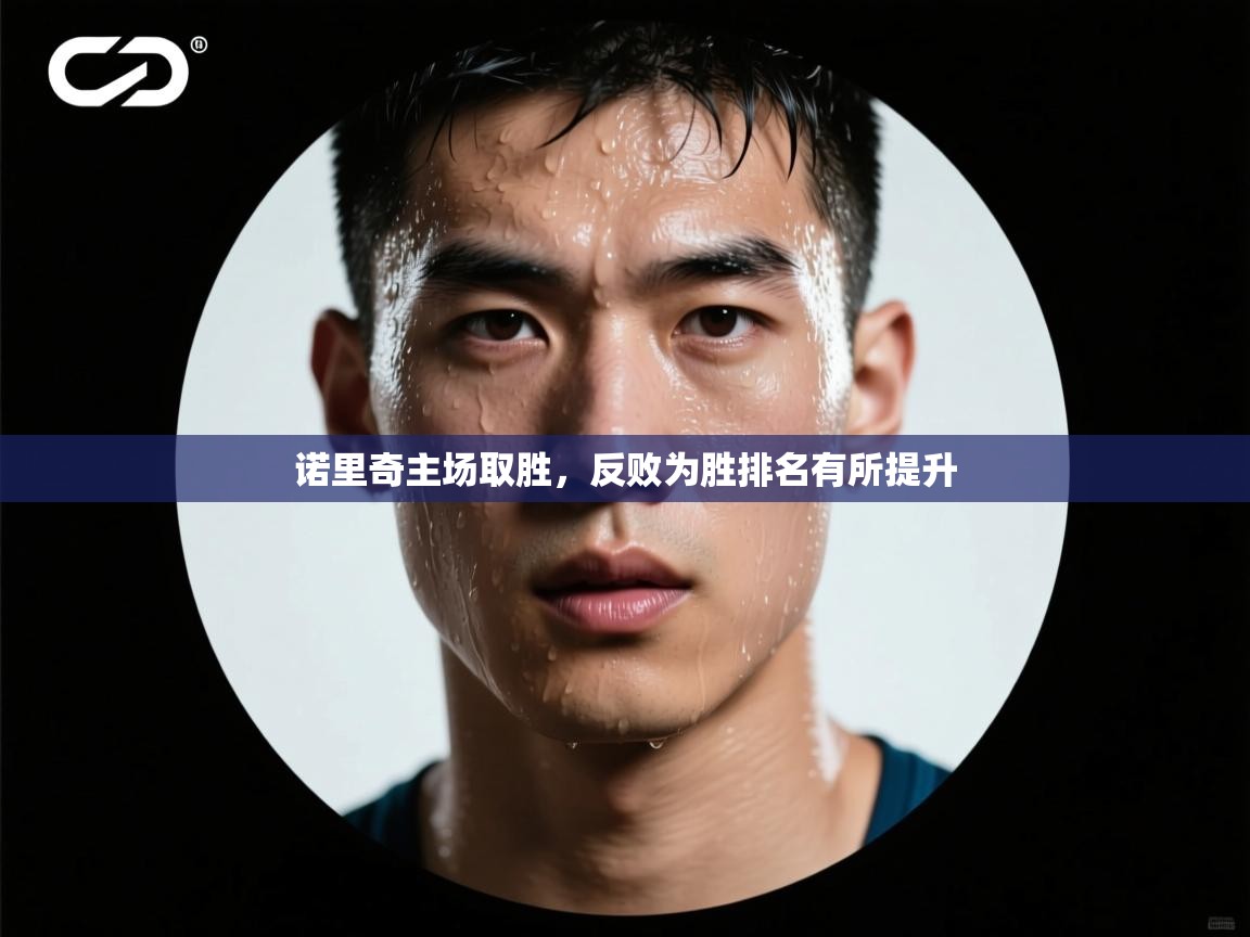 诺里奇主场取胜，反败为胜排名有所提升  第1张