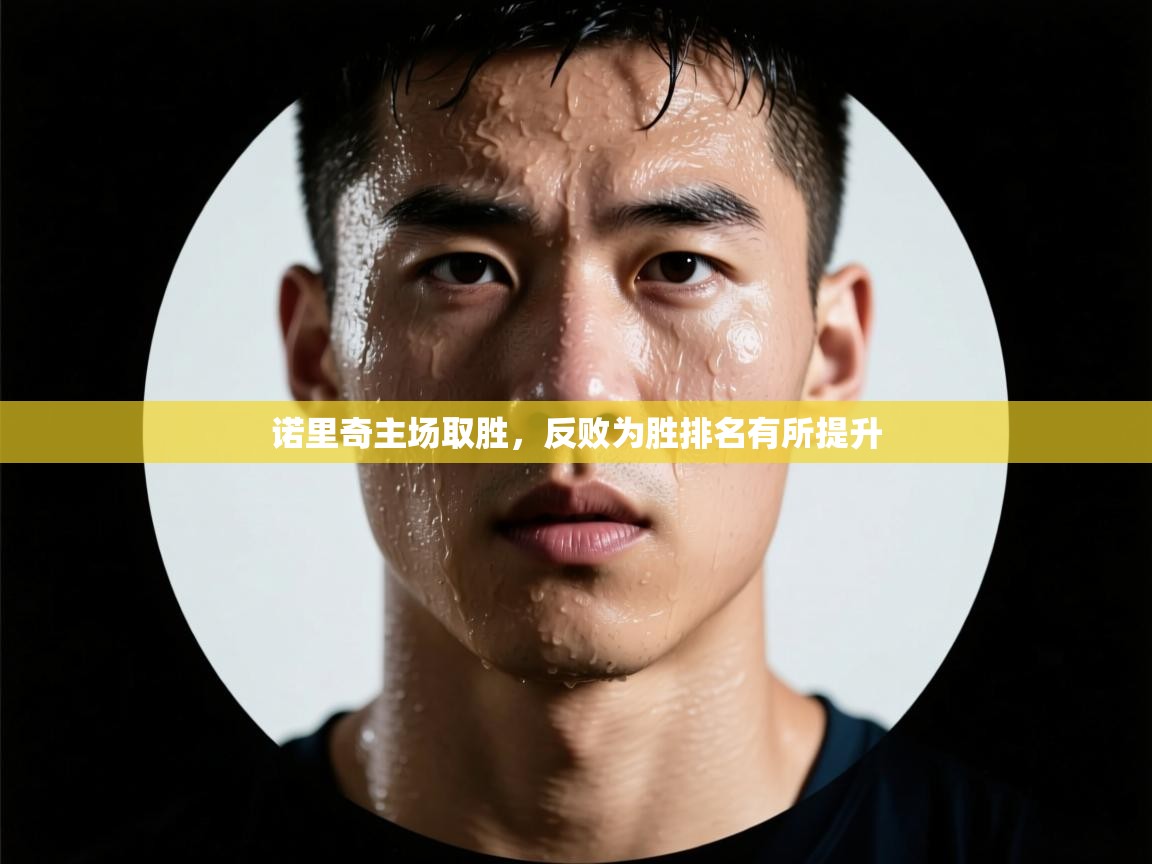 诺里奇主场取胜，反败为胜排名有所提升  第2张