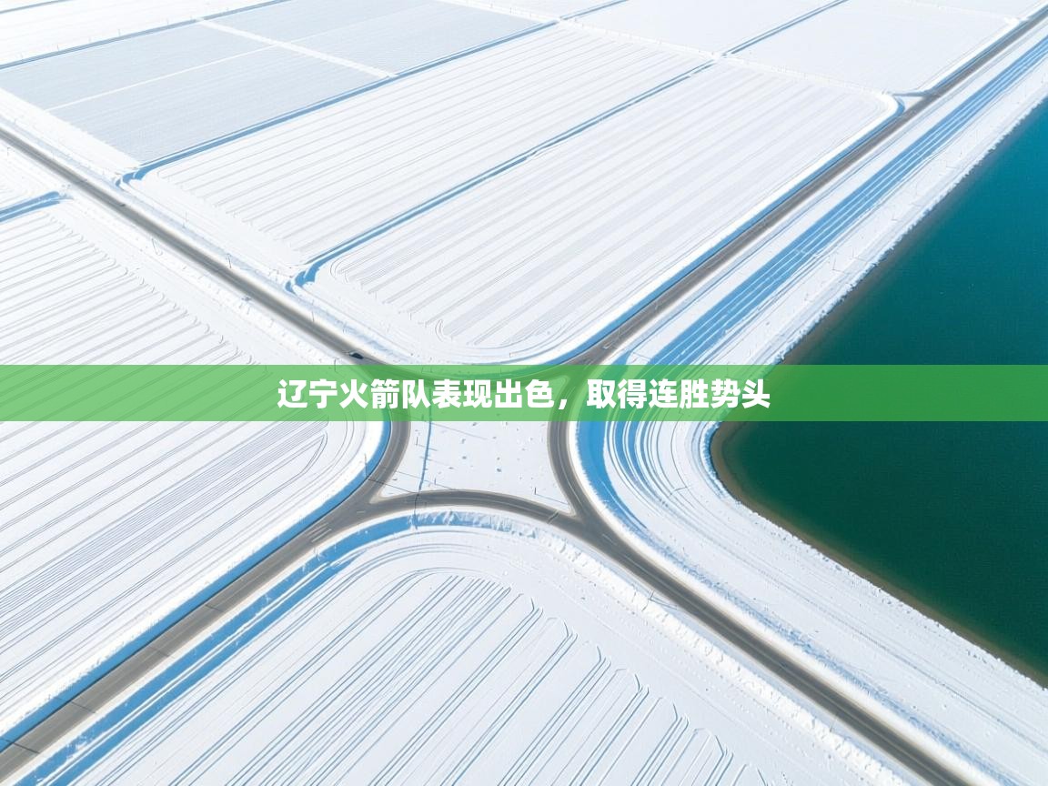 辽宁火箭队表现出色,取得连胜势头 第1张