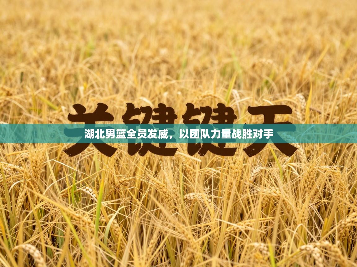 湖北男篮全员发威，以团队力量战胜对手  第1张