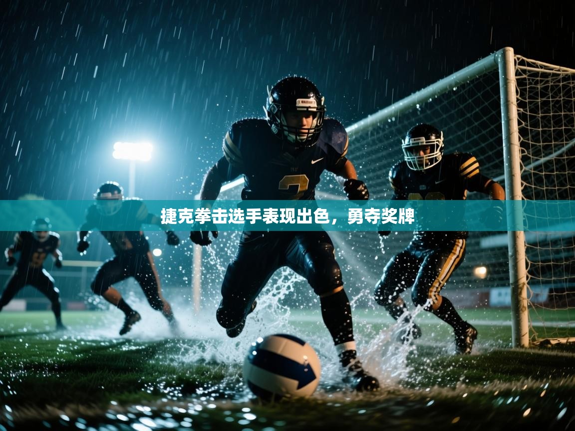 捷克拳击选手表现出色，勇夺奖牌  第1张