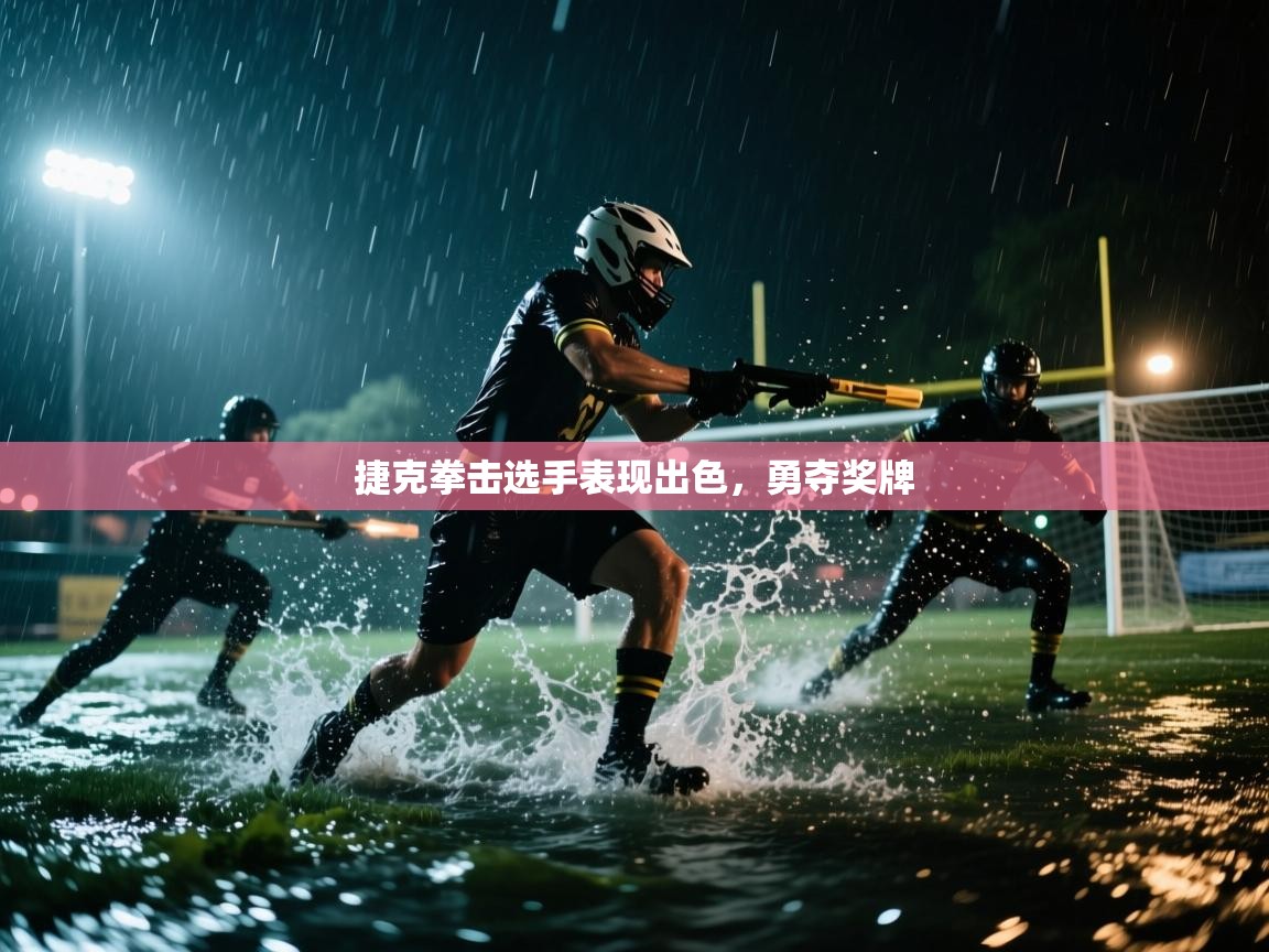 捷克拳击选手表现出色，勇夺奖牌  第2张