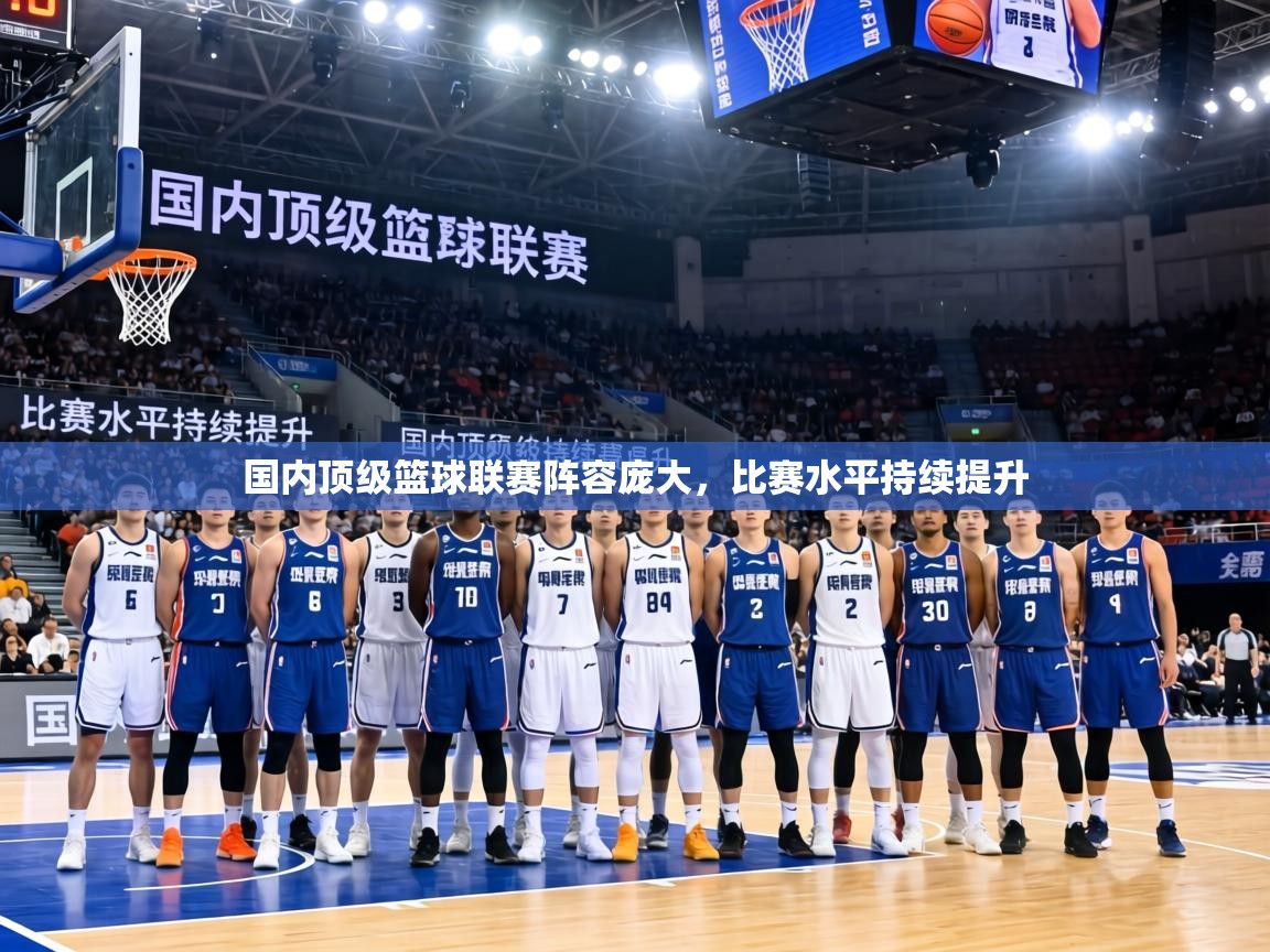 国内顶级篮球联赛阵容庞大，比赛水平持续提升  第1张